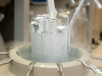 Eizellen werden in der Uni-Klinik Erlangen bei minus 196 Grad in flüssigem Stickstoff eingefroren. Foto: Uni-Klinikum Erlangen