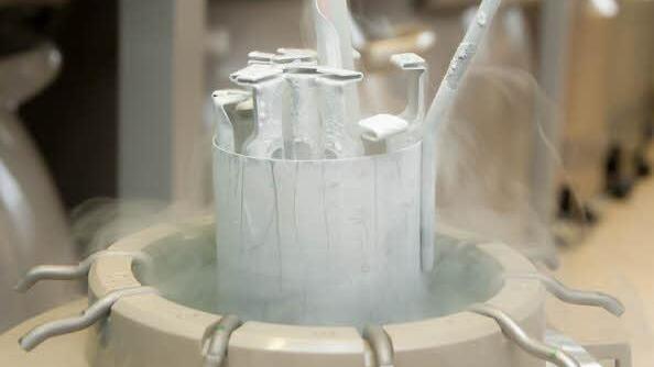 Eizellen werden in der Uni-Klinik Erlangen bei minus 196 Grad in flüssigem Stickstoff eingefroren. Foto: Uni-Klinikum Erlangen