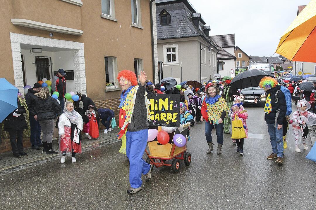 Stadtsteinacher Narrentreiben 2024