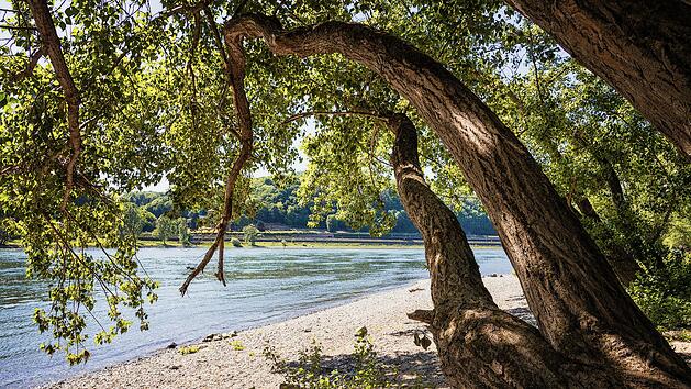 Rund um Ludwigshafen am Rhein gibt es viel zu entdecken.