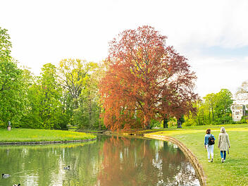 Spaziergang an einem Teich im Schlosspark Herrnsheim