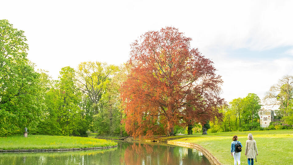 Spaziergang an einem Teich im Schlosspark Herrnsheim