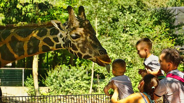 Familie im Zoo mit Giraffe.