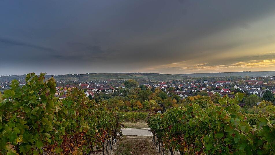 Die Region Pfalz ist europaweit bekannt für ihre vielfältige Weinauswahl.