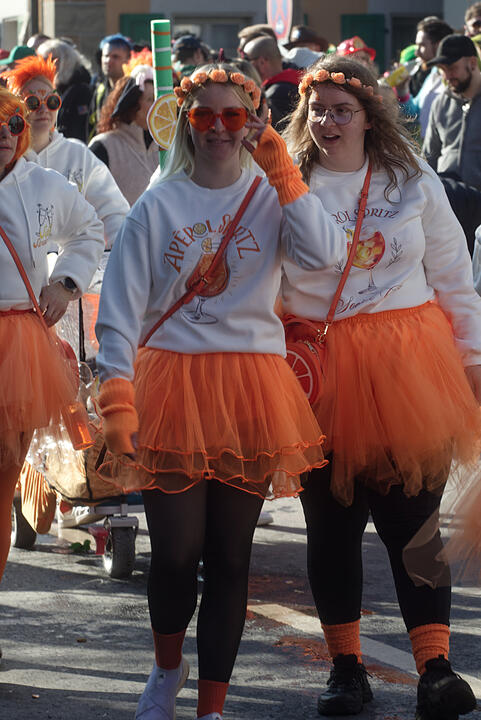 Fasching 2025 in Emskirchen!