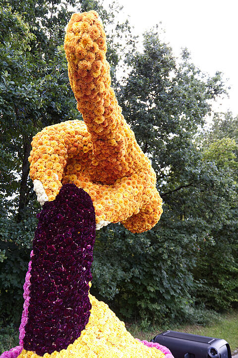 Das Fest der 500.000 Dahlien.
