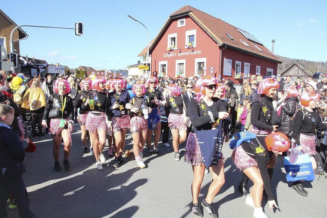 Fasching 2025 in Stadtsteinach!