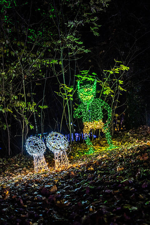 Über 120 lebensgroße Tiere und eindrucksvolle Lichtobjekte!