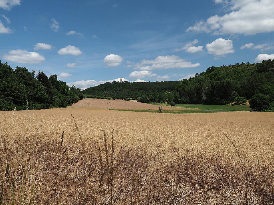 Die Lichtenburg ist eine Ruine auf dem Schloßberg.