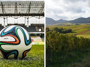 Viele berühmte Fußballer stammen aus Rheinland-Pfalz.