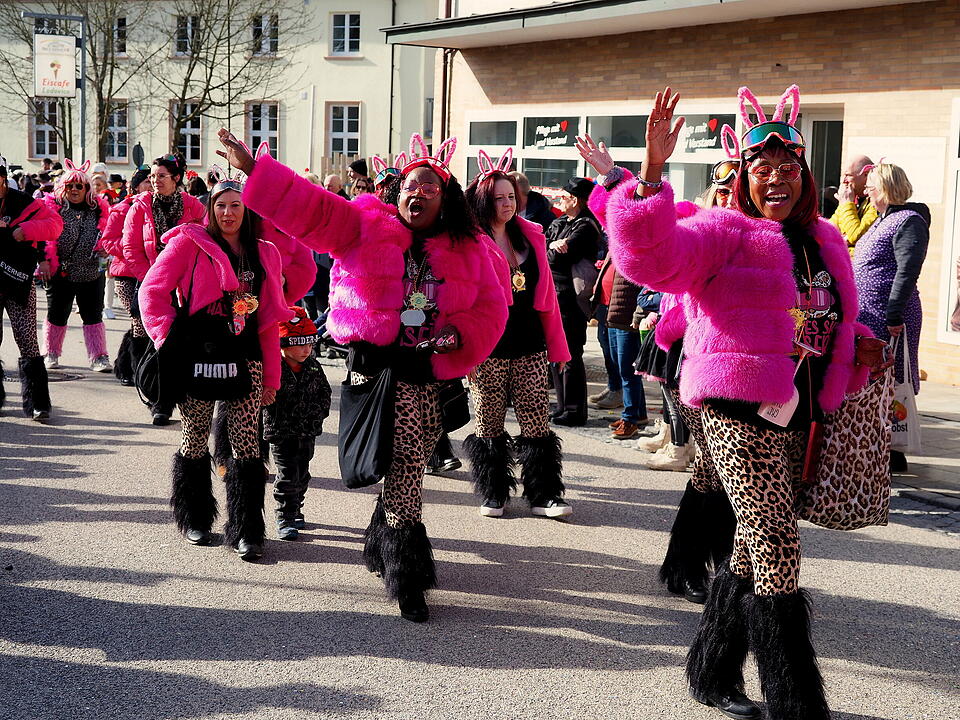 Fasching 2025 in Unterfranken!