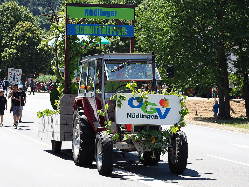 Historischer Festumzug