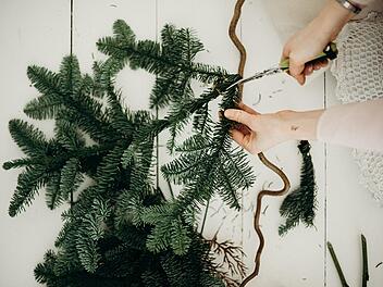 Alten Christbaum verwerten statt wegwerfen.