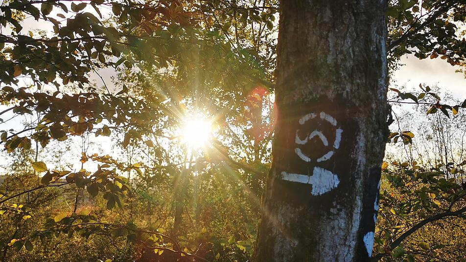 Wandern im Westerwald: Auf dem Druidensteig erlebst du Natur und Kultur pur