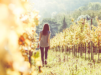 Auf dem Ruwer-Riesling-Erlebnisweg zu wandern, vermittelt Wissen über Wein und das schöne Ruwertal.