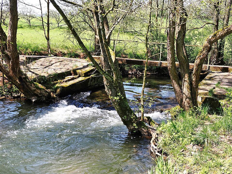 Die Wanderung führt durch eine Kernzone des Biosphärenreservats Rhön.