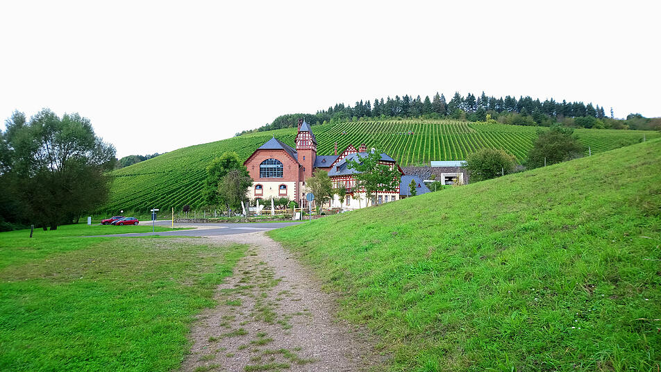 Das Hofgut Avelsbach schmiegt sich an die Weinhänge im Avelertal in Trier.
