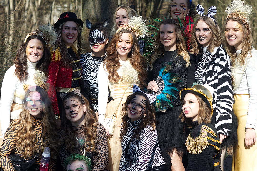 Fasching 2025 in Emskirchen!