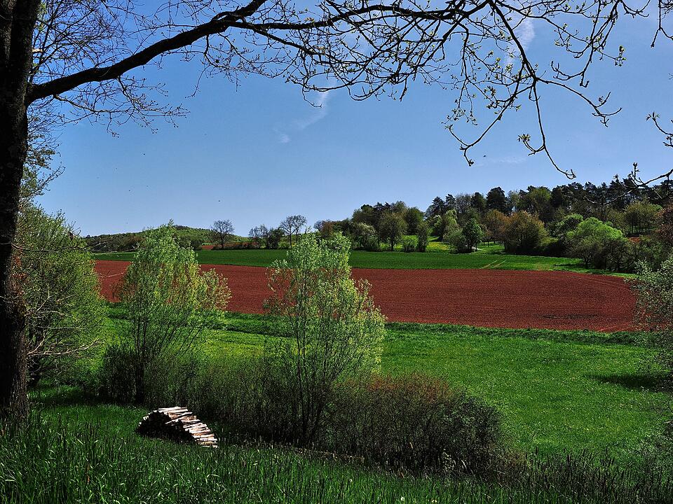 Die Wanderung führt durch eine Kernzone des Biosphärenreservats Rhön.