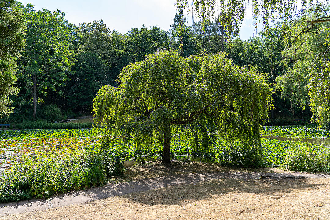 Einer der ältesten Bürgerparks in Bayern