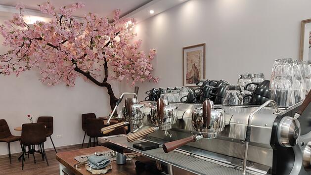 Der selbstgebaute Kirschbaum ist das optische Highlight im Café Ukiyo Coffee in Mainz.