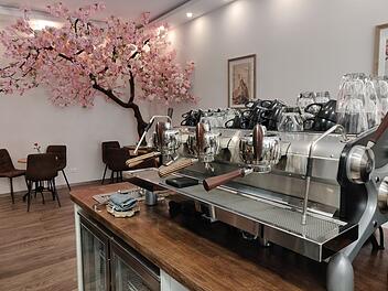 Der selbstgebaute Kirschbaum ist das optische Highlight im Café Ukiyo Coffee in Mainz.