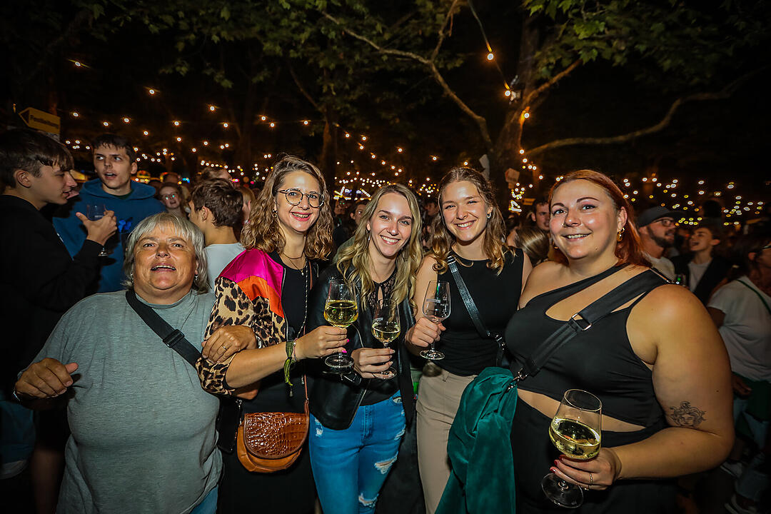 Impressionen vom größten Weinfest in Franken!
