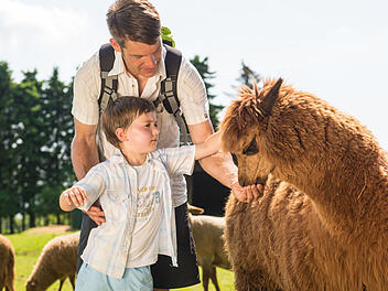 In diesen Streichelzoos und Tiergehegen rund um Trier kannst du auch selbst Tiere füttern.