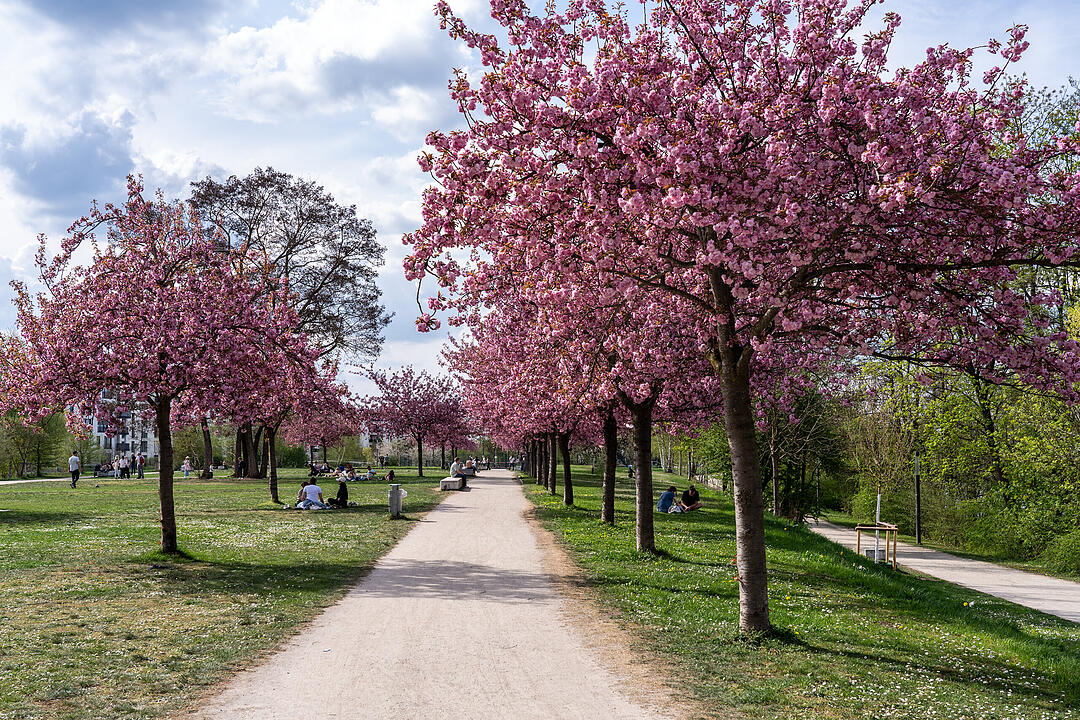 Wunderschönes Naturereignis in Bamberg!