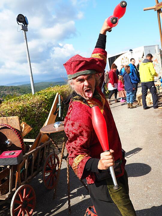 Stimmungsvolles Mittelalterfest