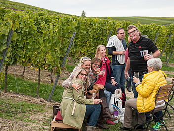 Weinwandernde können zwischen den Reben Wein und die Natur genießen.