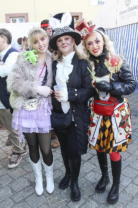Fasching 2025 in Stadtsteinach!