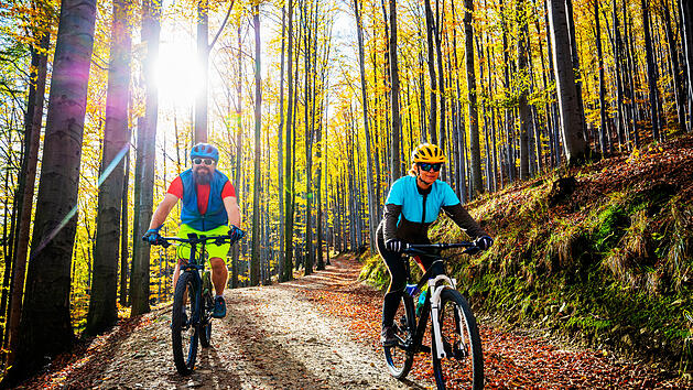 Radfahren durch den bunten Wald im Hunsrück macht im Frühling besonders viel Spaß.