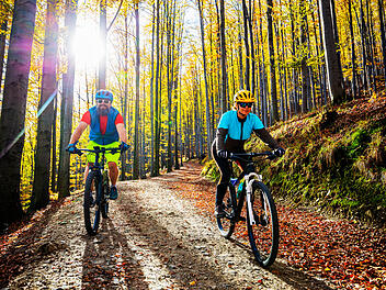 Radfahren durch den bunten Wald im Hunsrück macht im Frühling besonders viel Spaß.