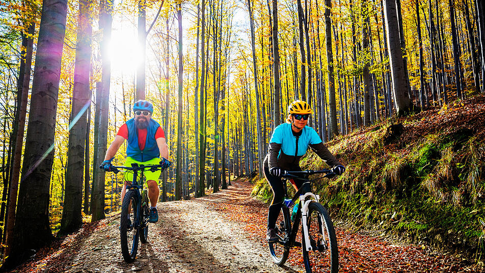 Radfahren durch den bunten Wald im Hunsrück macht im Frühling besonders viel Spaß.
