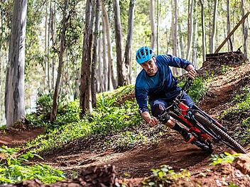 Rheinland-Pfalz verfügt über viele Strecken, die sich für eine Tour mit dem Mountainbike eignen.