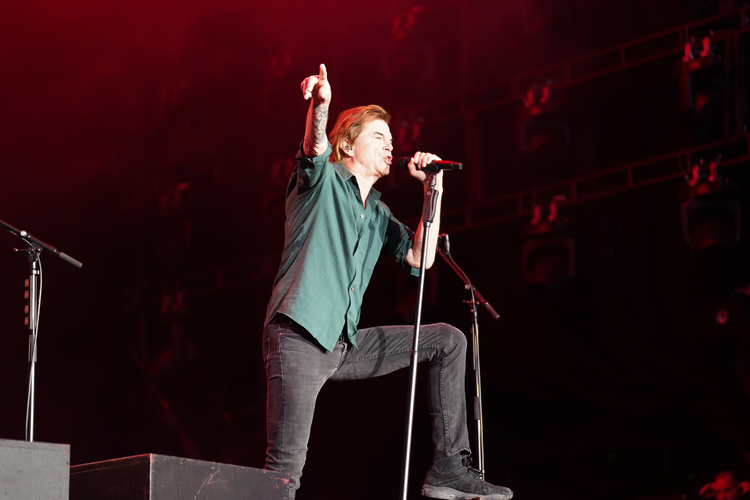 Rock im Park 2023: Die Toten Hosen