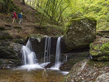 Eine Wanderung durch die Ehrbachklamm ist wildromantisch.