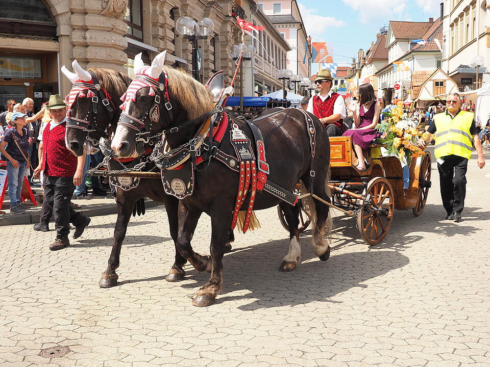 Großer historischer Festzug durch Bad Kissingen!