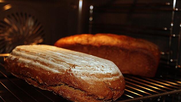 Saftiges Zucchini-Brot aus dem Ofen.