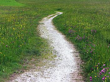 Bad-Kreuznach: Wanderwege werden erneut zertifiziert