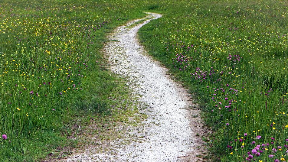 Bad-Kreuznach: Wanderwege werden erneut zertifiziert