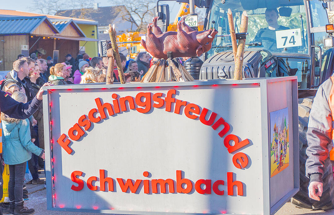 Allersberg feiert Fasching!