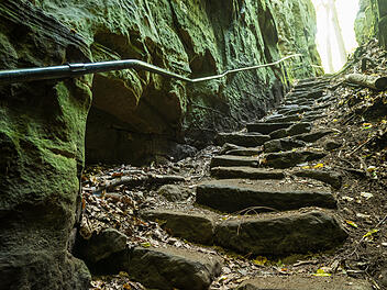 Wandern in der Region Trier: Diese 4 schönen Wanderwege solltest du kennen