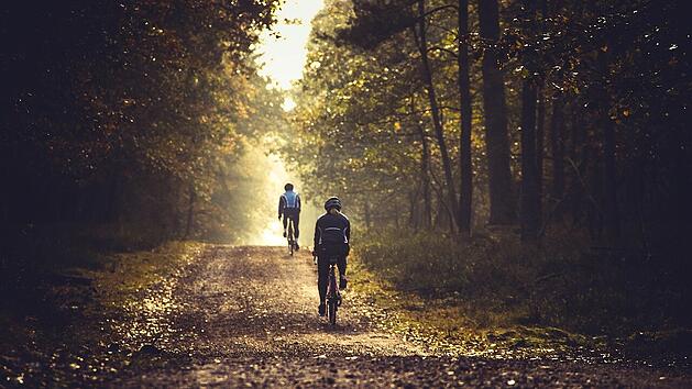 Der Pfälzerwald hat einige abenteuerliche Mountainbike-Trails zu bieten.