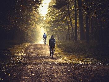 Der Pfälzerwald hat einige abenteuerliche Mountainbike-Trails zu bieten.