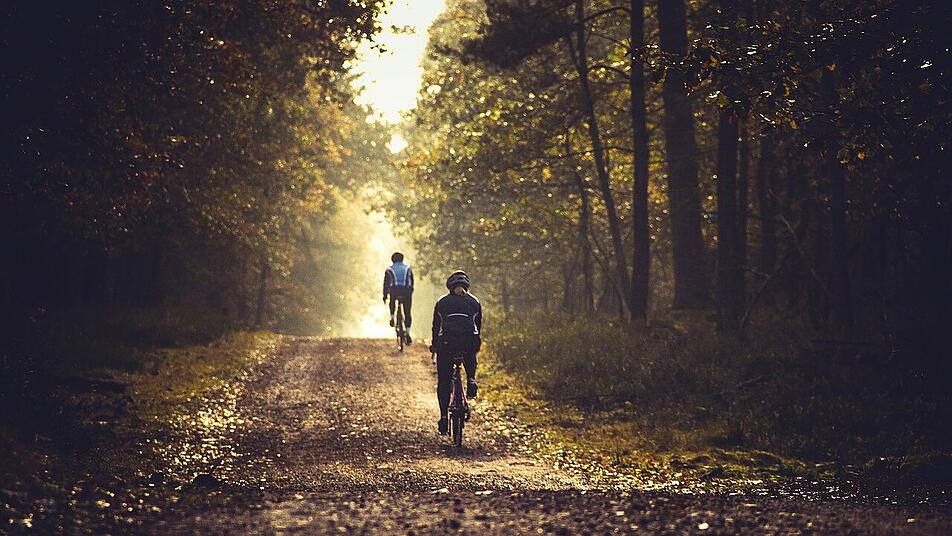 Der Pfälzerwald hat einige abenteuerliche Mountainbike-Trails zu bieten.