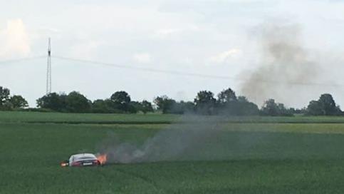Es entstand 1000 Euro Schaden am Getreidefeld. Foto: Polizeiinspektion Germersheim