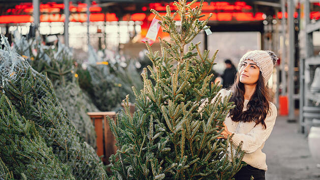 Finde deinen Weihnachtsbaum in Mainz: Anbieter & Tipps