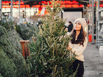Finde deinen Weihnachtsbaum in Mainz: Anbieter & Tipps